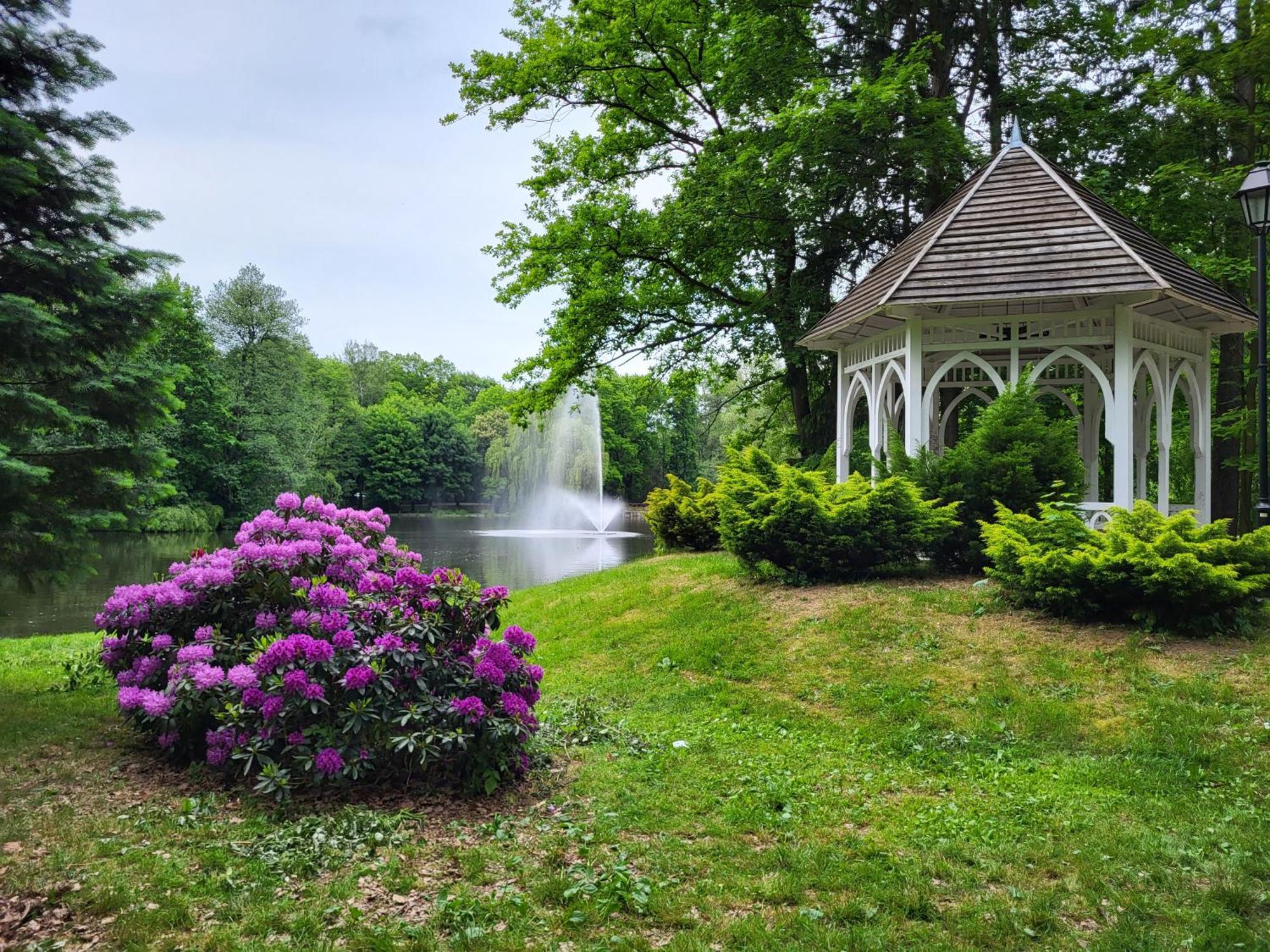 Villa Klara Cieplice Jelenia Gora Dış mekan fotoğraf
